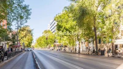 Apartment on Calle Antonia Mercé photo 18