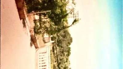 Miniatura 10