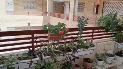 Pis – Torrevieja - Vista 4