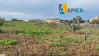 Chalet en venta en Pinar de Maria, Pinar de los Franceses-El Marquesado (Chiclana de la Frontera) de 96.000 €