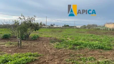 Chalet en venta en Pinar de Maria, Pinar de los Franceses-El Marquesado (Chiclana de la Frontera) de 96.000 €