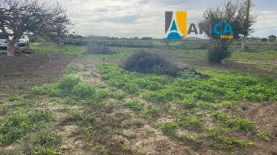 Chalet en venta en Pinar de Maria, Pinar de los Franceses-El Marquesado (Chiclana de la Frontera) de 96.000 €