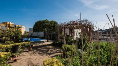 Rustic finca in Cabrera de Mar photo 10