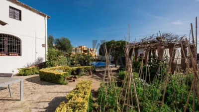 Rustic finca in Cabrera de Mar photo 11