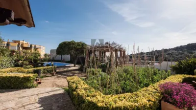 Rustic finca in Cabrera de Mar photo 13