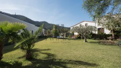 Rustic finca in Cabrera de Mar photo 23
