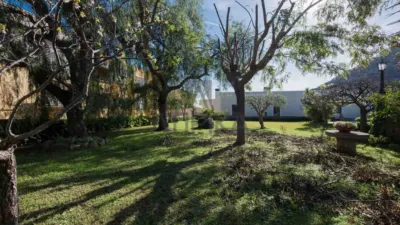 Rustic finca in Cabrera de Mar photo 25