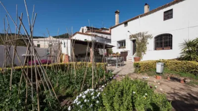 Rustic finca in Cabrera de Mar photo 7