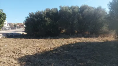 Terreno en venta en Casco Urbano - Vista 5