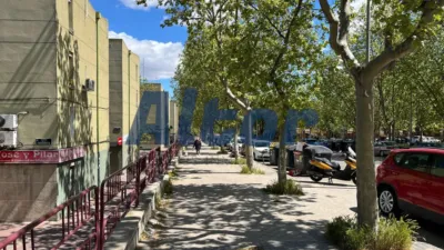 Apartment in San Blas photo 17