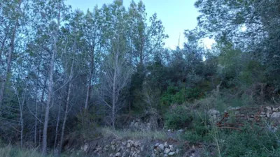 Terreno en venta en Benigembla - Vista 3