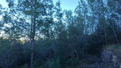 Terreno en venta en Benigembla - Vista 4