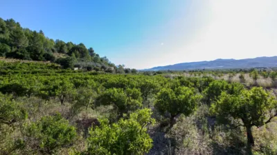 Terreno en venta en Sagra - Vista 2