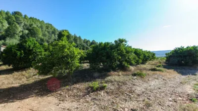 Terreno en venta en Sagra - Vista 3