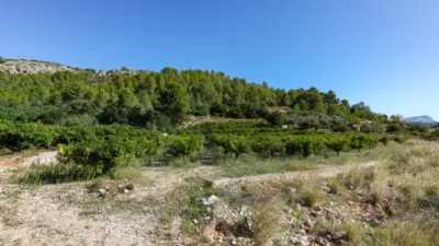 Terreno en venta en Sagra - Vista 5
