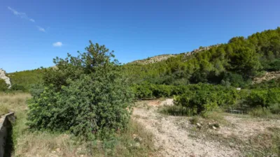 Terreno en venta en Sagra - Más