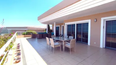 Pis – Dénia - Vista 5