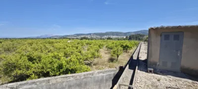 Terreno en venta en Campo - Més