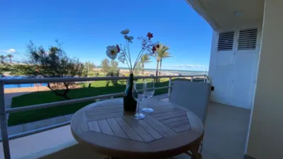 Pis - Vista 5