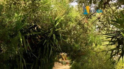 Chalet en venta en Pago del Humo-Polígono de Pelagatos, Pago del Humo-Polígono de Pelagatos (Chiclana de la Frontera) de 365.000 €