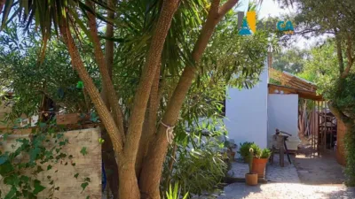 Chalet en venta en Pago del Humo-Polígono de Pelagatos, Pago del Humo-Polígono de Pelagatos (Chiclana de la Frontera) de 365.000 €