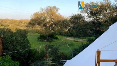 Chalet en venta en Pago del Humo-Polígono de Pelagatos, Pago del Humo-Polígono de Pelagatos (Chiclana de la Frontera) de 365.000 €