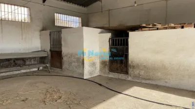 House in , Beach Area, Close to the Town photo 48