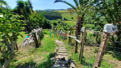 House in Agirre Auzoa photo 37