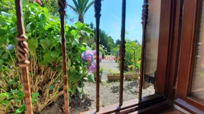House in Agirre Auzoa photo 9