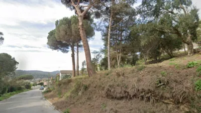 House on Carrer de l'Arboç photo 4