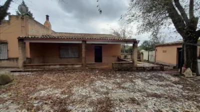 House on Calle Diseminado photo 10