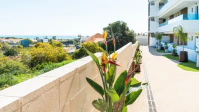 Apartment on Miguel Barceló Street, 2 photo 32