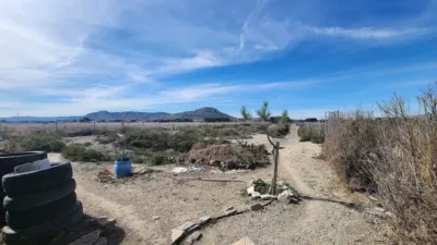 Rustic finca in Villena photo 20