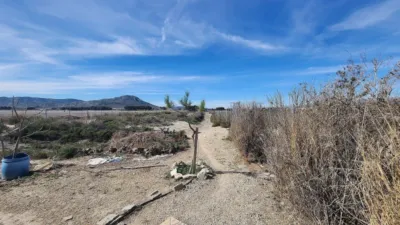 Rustic finca in Villena photo 21