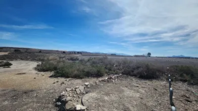 Rustic finca in Villena photo 24