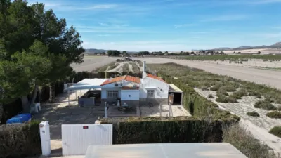 Rustic finca in Villena photo 25