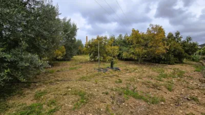 Terreno en venta en Pego - Vista 4