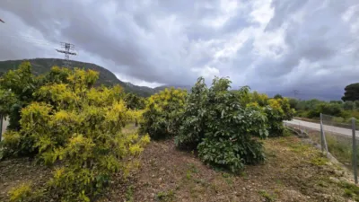 Terreno en venta en Pego - Vista 5