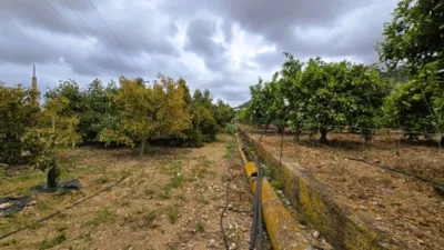 Terreno en venta en Pego - Més