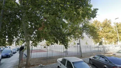 Apartment on Calle del Abedul photo 3