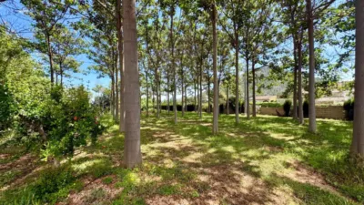 Casa - Vista 3