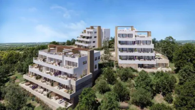 Piso – Orihuela - Vista 3