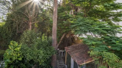 House on San Juan Street photo 50