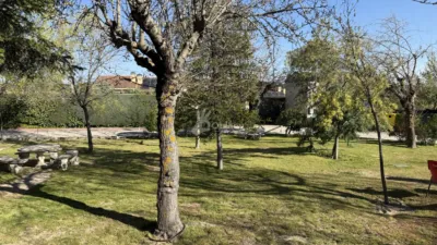 Apartment in Fresnedilla de la Oliva photo 43