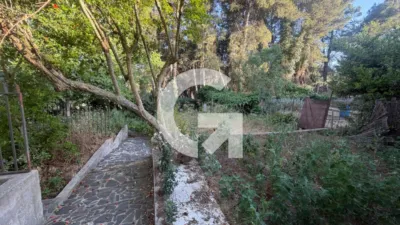 House on Carrer dels Comtes del Pallars photo 40