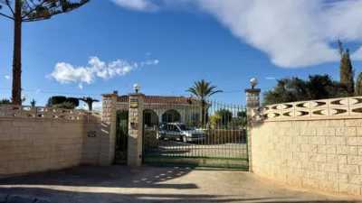 Casa – Elx - Elche - Vista 5