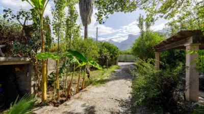 House in Camí de Can Guida photo 4