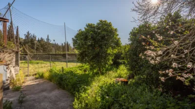 Rustic Finca in San Martín del Tesorillo photo 39