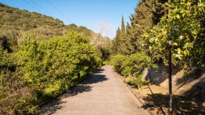 Rustic Finca in San Martín del Tesorillo photo 45