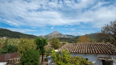 Apartment in Carrer de Talaia photo 26